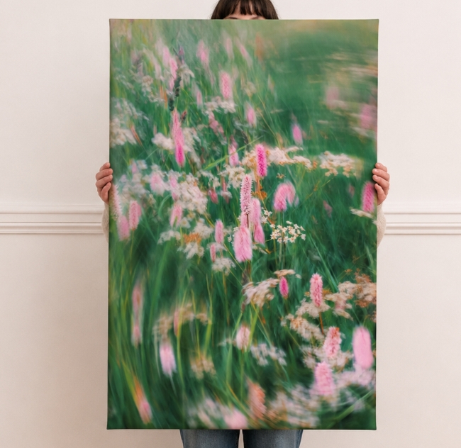 Foto Telas 50x70 cm
