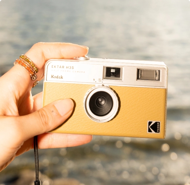 Kodak Ektar H35 Castanha